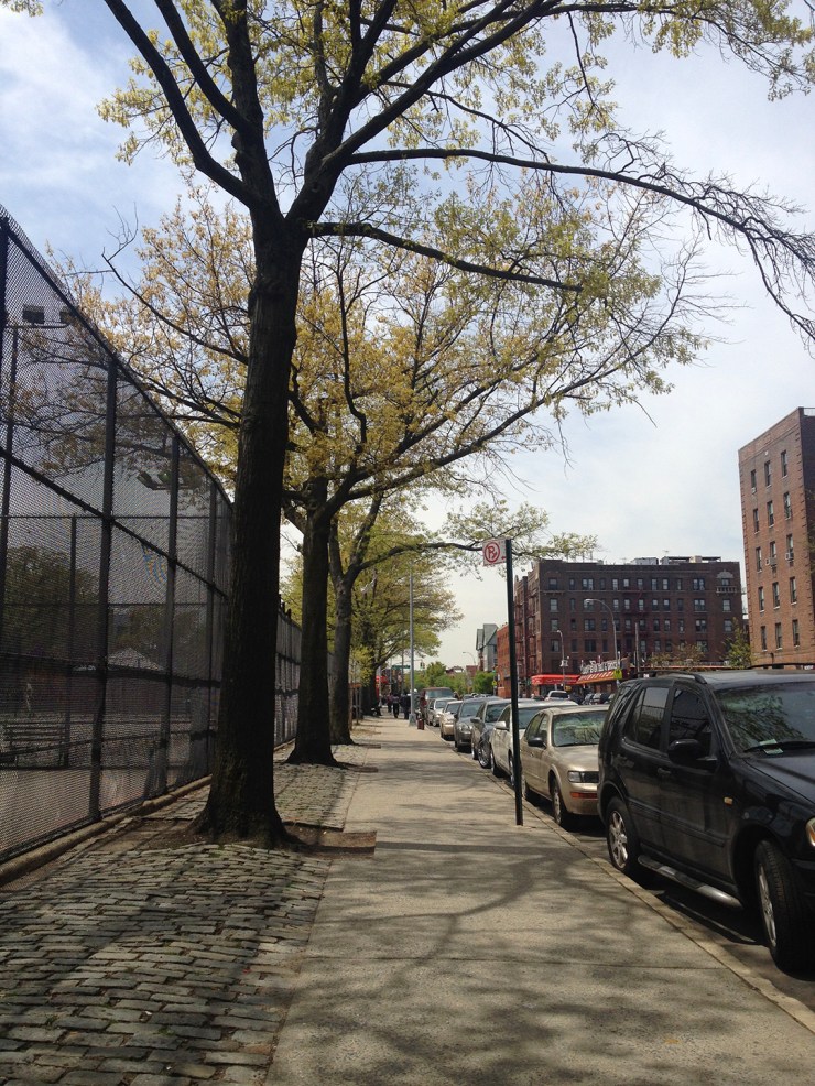 2014-05-07 12.54.45-1