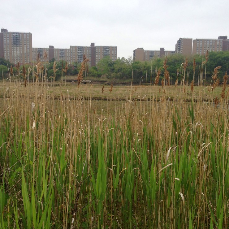 2014-05-14 14.53.09-1