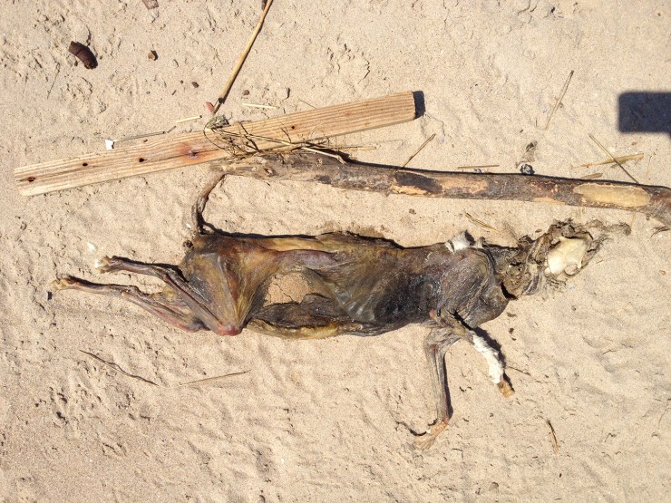 2014-05-29 14.30.22-1